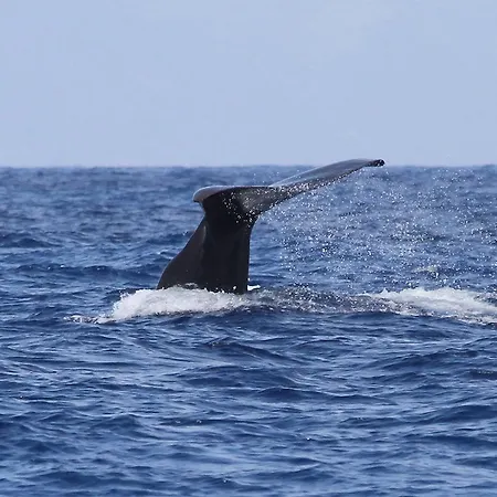 Hotel Brygga Restaurant And 3*